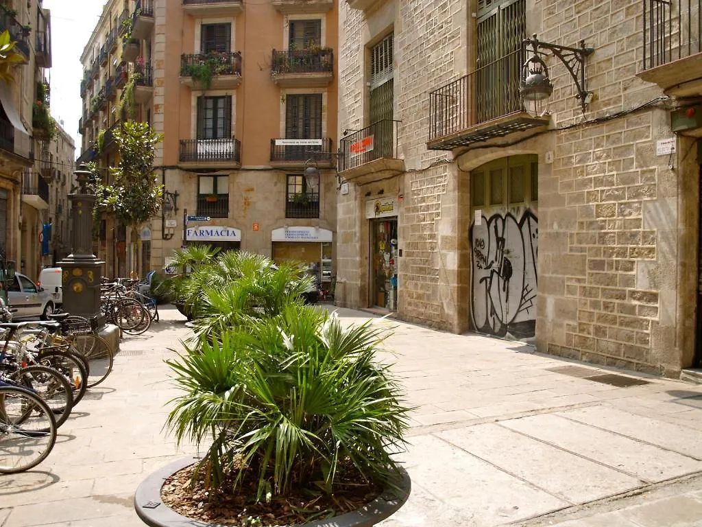 Hostal Nitzs Bcn Barcelone 0*,  Espagne